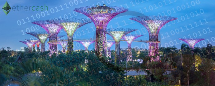 26516010 - gardens by the bay - supertree grove in singapore